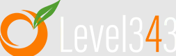 Level343 Logo